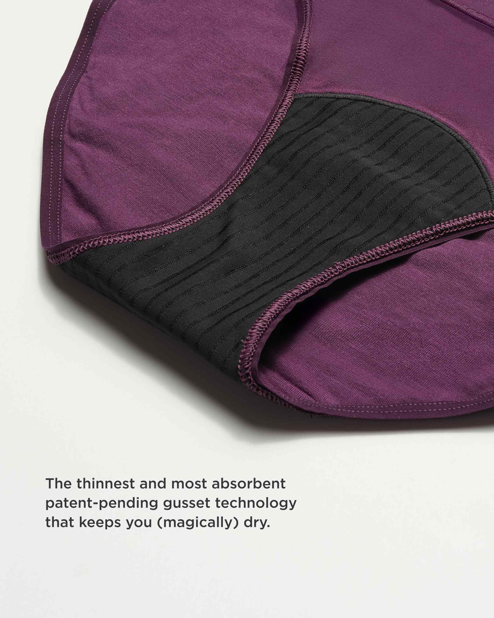 Leakproof Comfort Bikini - Image 11