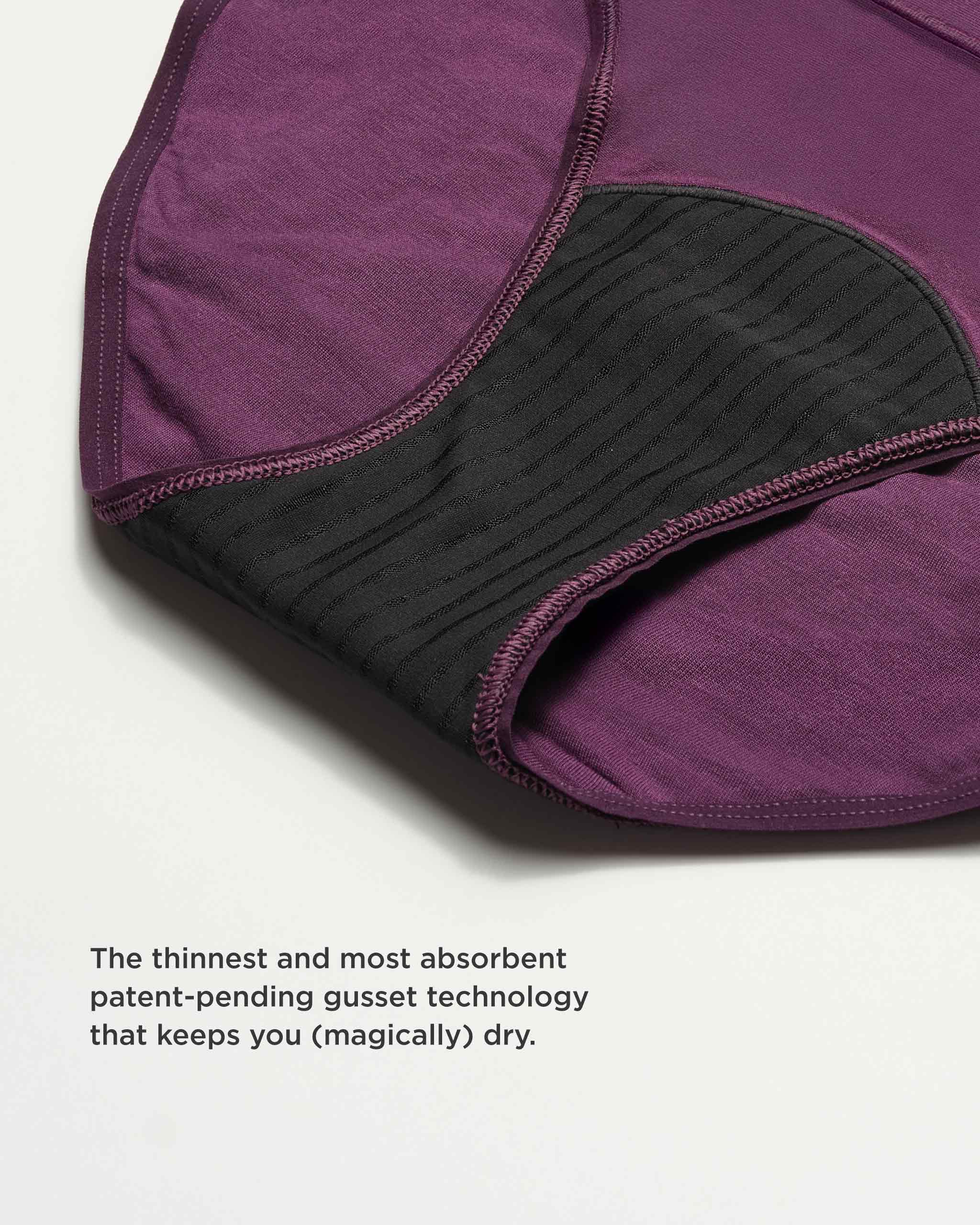 Leakproof Comfort Bikini - Image 5