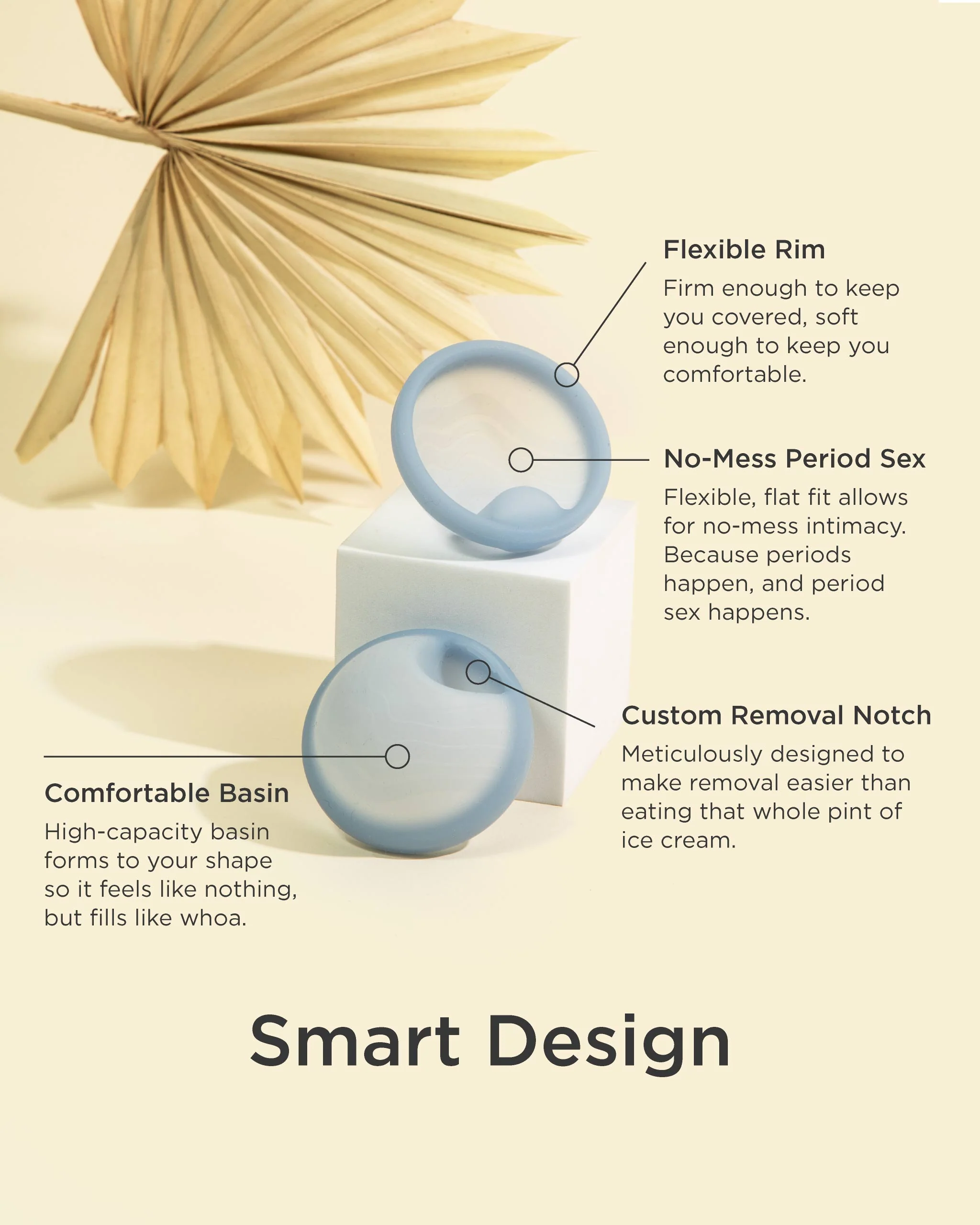 Saalt Disc - Image 4